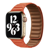 "Layer" - AppleWatch Armband